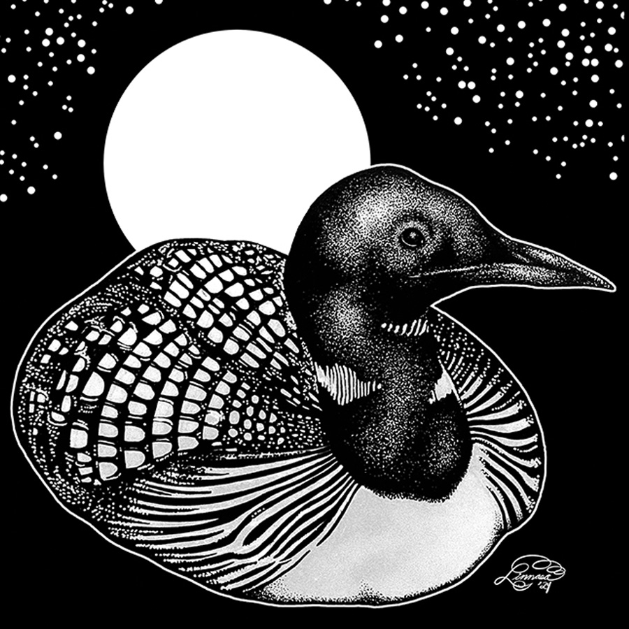 A black and white, stylized illustration of a loon on a black background.