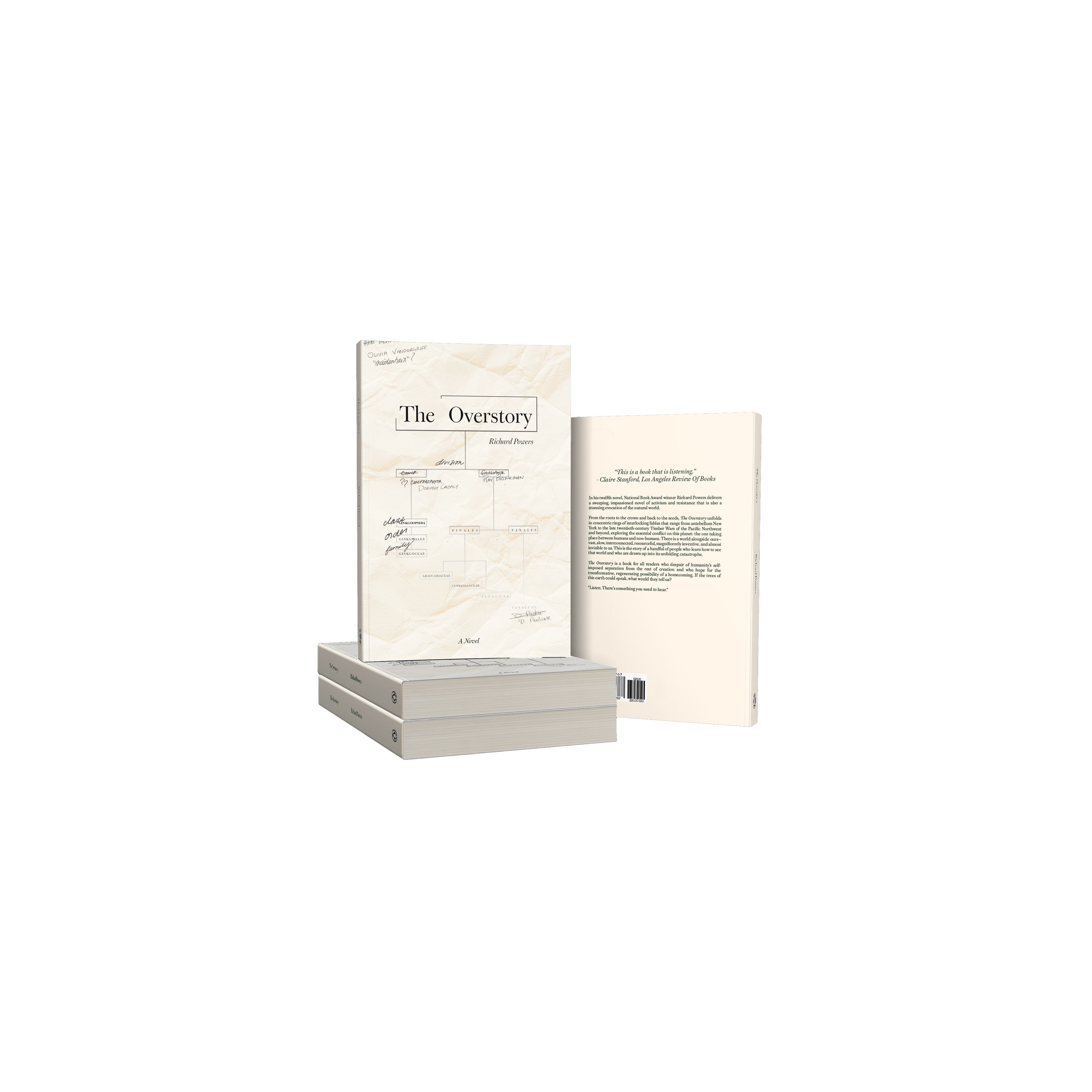 A cream-coloured book jacket for The Overstory by Richard Powers, featuring a taxonomic heirarchy resembling a family tree and a map of the plant kingdom.